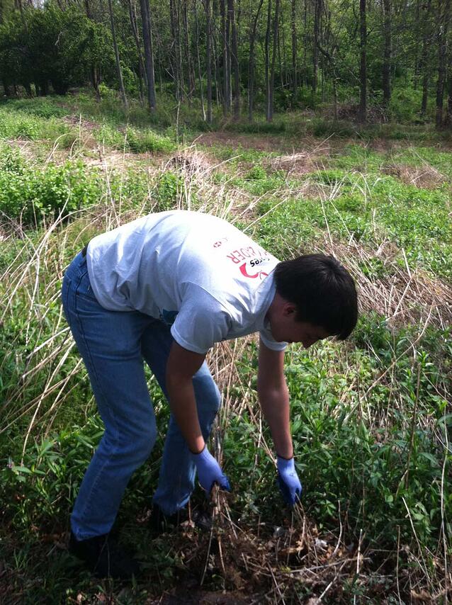 OnSIP team member clearing brush