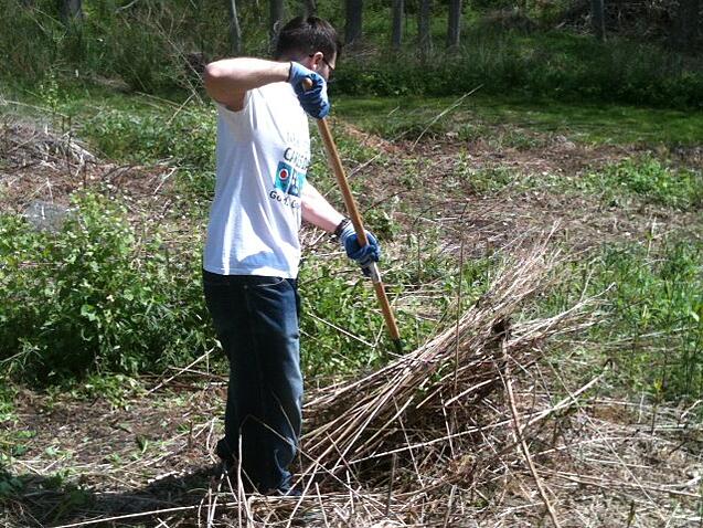 OnSIP team member raking