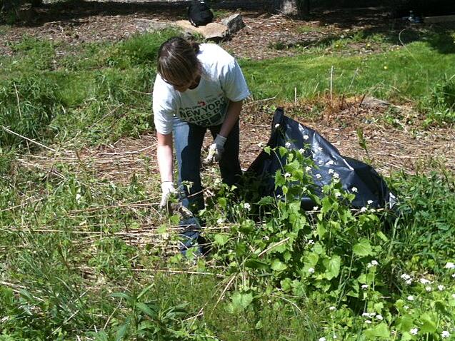 OnSIP team member bagging some brush