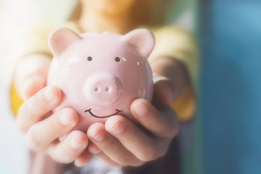 Person holding a piggy bank.