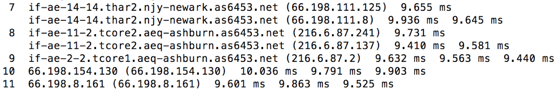 Traceroute report showing hops