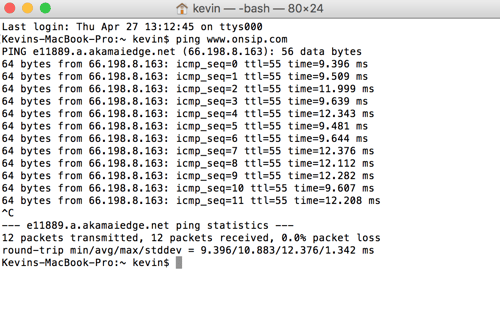 Sample ping test results