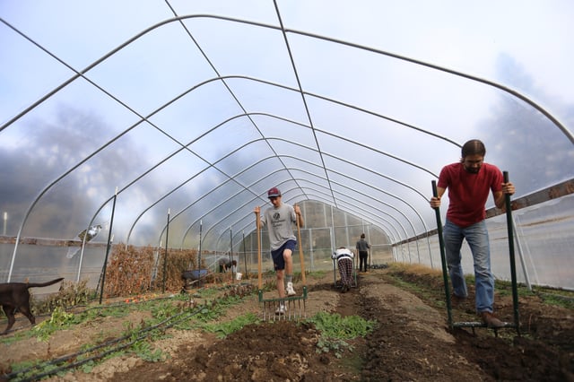 The Woolman Semester School farms