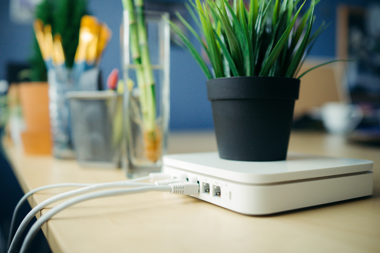 Green plant sitting on a router with lines plugged in.